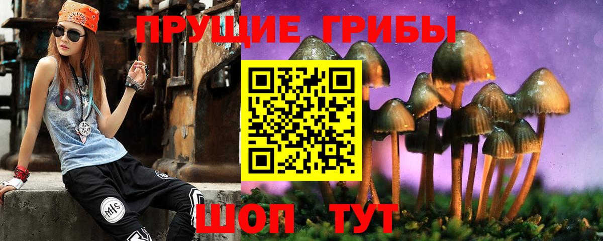 Галлюциногенные грибы Cubensis  дарнет шоп  Гудермес  Вход с VPN 